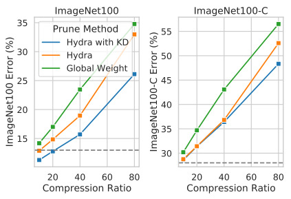 compression_robustness_icmlw21 publication teaser